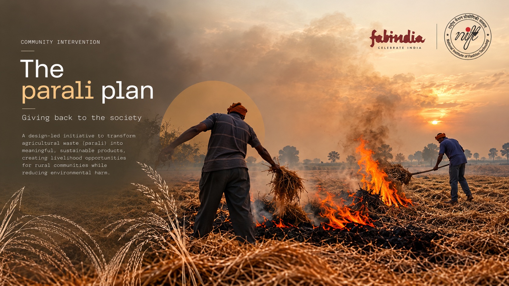 The Parali Plan — a community intervention